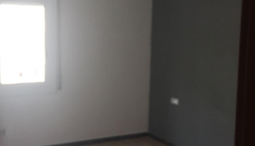 5393_2.jpg