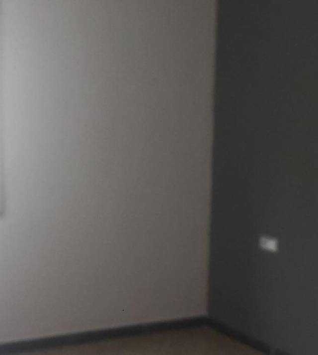 5393_2.jpg